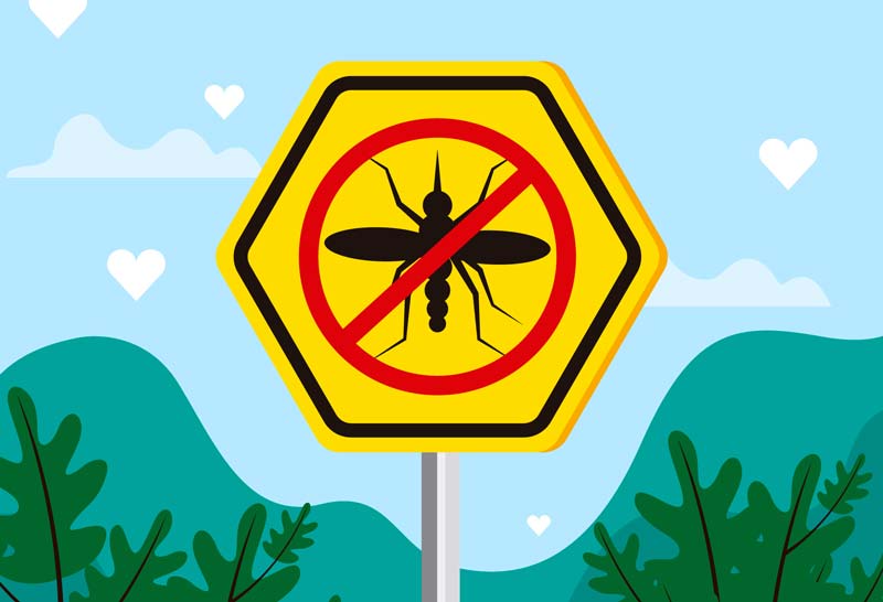 Infotag “Insektenschutz nach Maß” am 7. April 2019